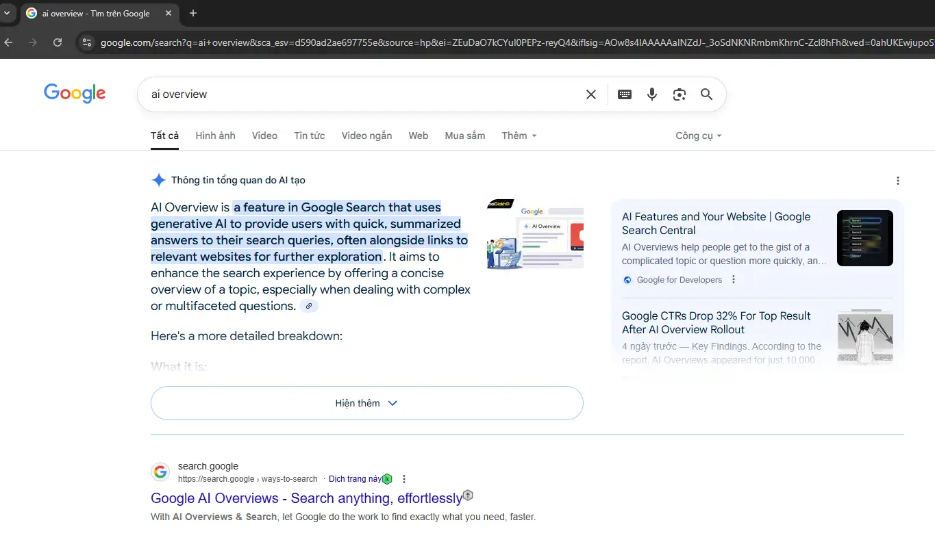 Hình ảnh AI overview trên kết quả tìm kiếm google